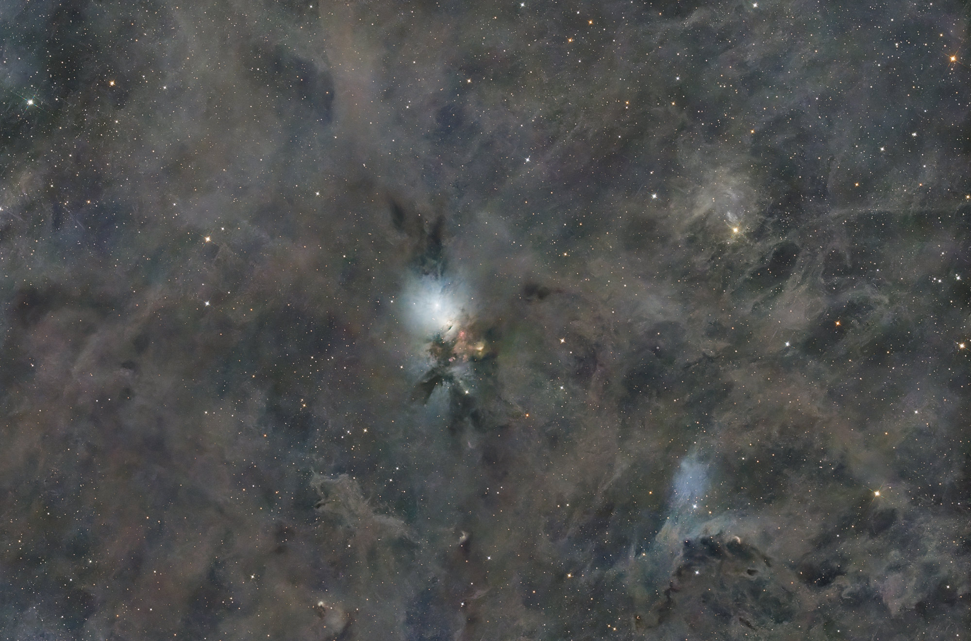 A reflection nebula in the constellation Perseus, the Embryo Nebula NGC 1333 is a vast star-forming region of young stars less than a million years old.